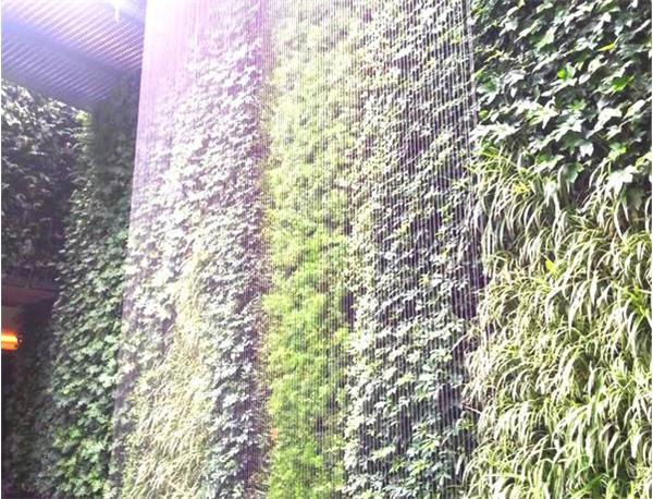 水簾噴泉